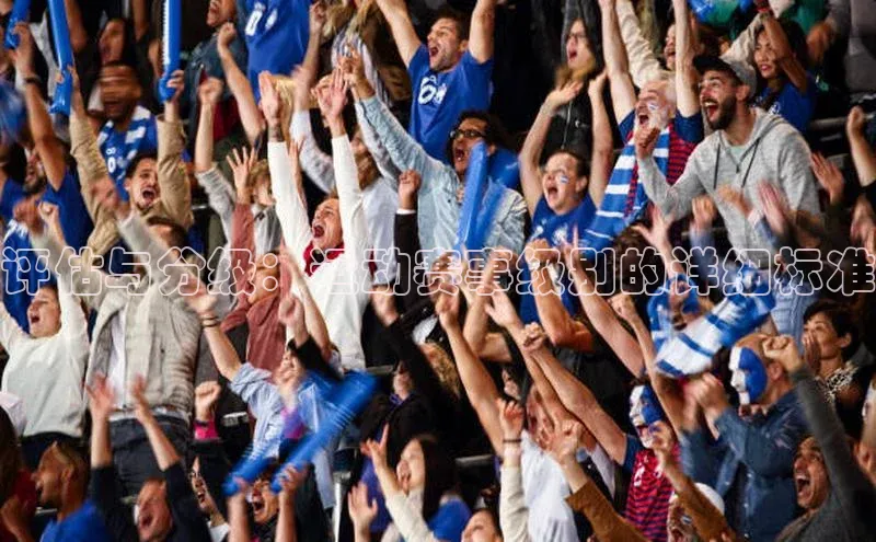 评估与分级：运动赛事级别的详细标准