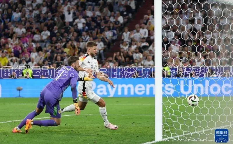 田径运动会：不同比赛项目的精彩世界