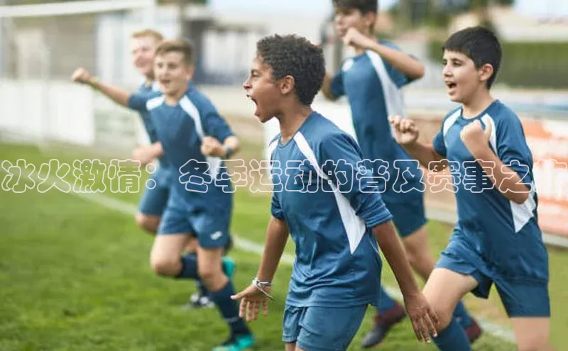 冰火激情：冬季运动的普及赛事之旅