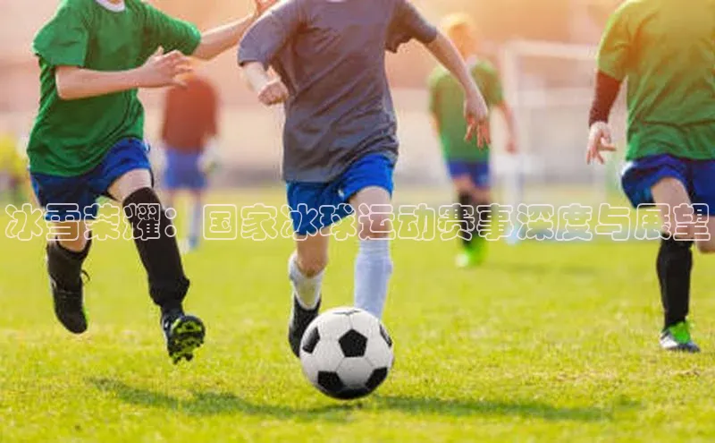 冰雪荣耀：国家冰球运动赛事深度与展望