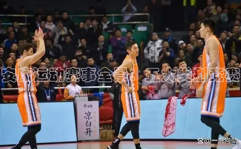 安康运动赛事全景：五大类别竞赛