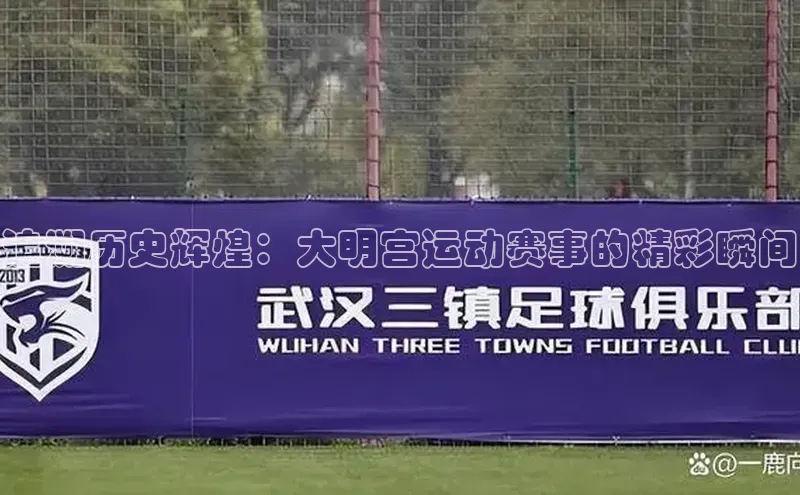 追溯历史辉煌：大明宫运动赛事的精彩瞬间