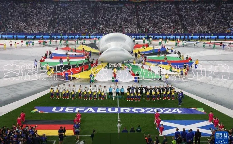 荣耀之路：您的运动赛事证书