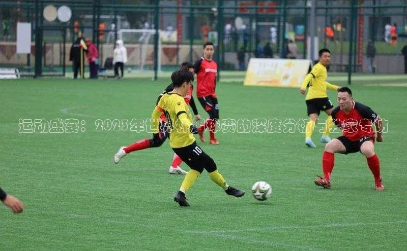 运动盛宴：2023年世界杯足球赛的深度分析与独家专访