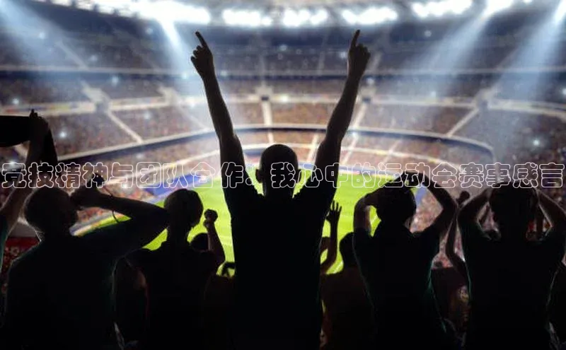 竞技精神与团队合作：我心中的运动会赛事感言