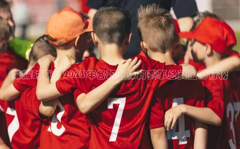 荣耀时刻：2023年各职业体育赛事总奖金排行榜