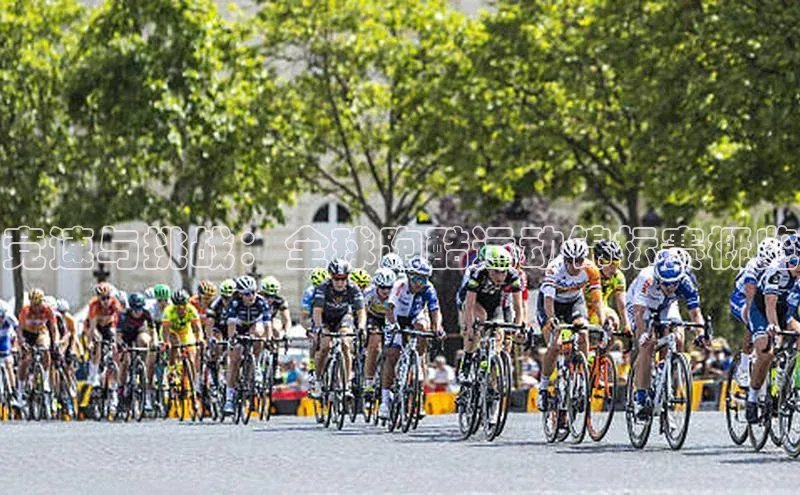 MK体育官方网站入口