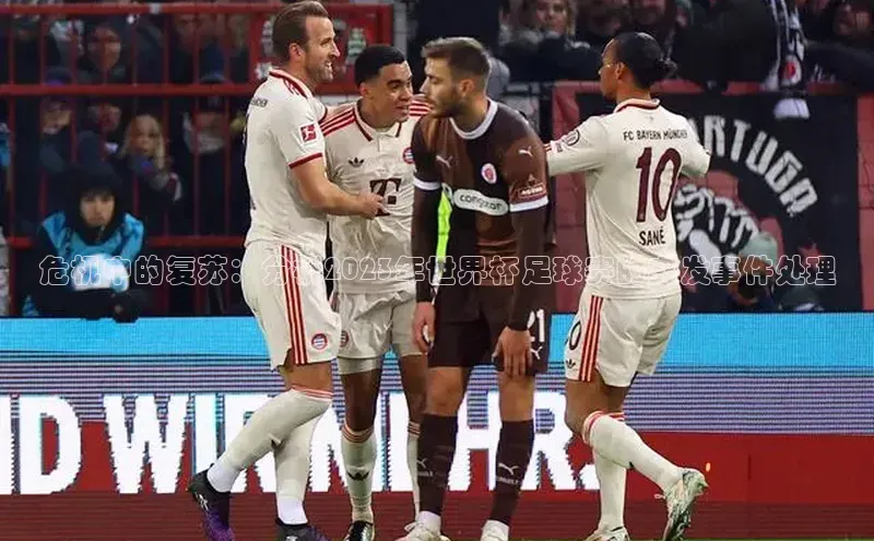 危机中的复苏：分析2023年世界杯足球赛的突发事件处理