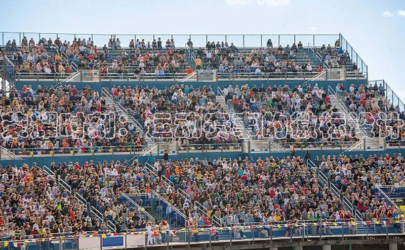 荣耀时刻：运动赛事的徽标设计