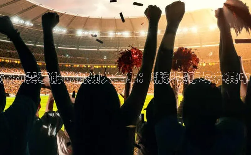 运动赛事解说视频大全集：精彩赛事尽在其中