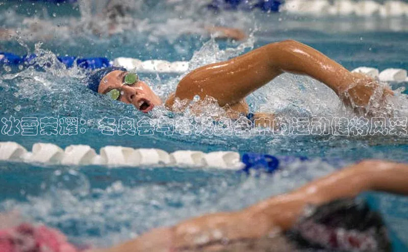 Mksport体育app官网入口