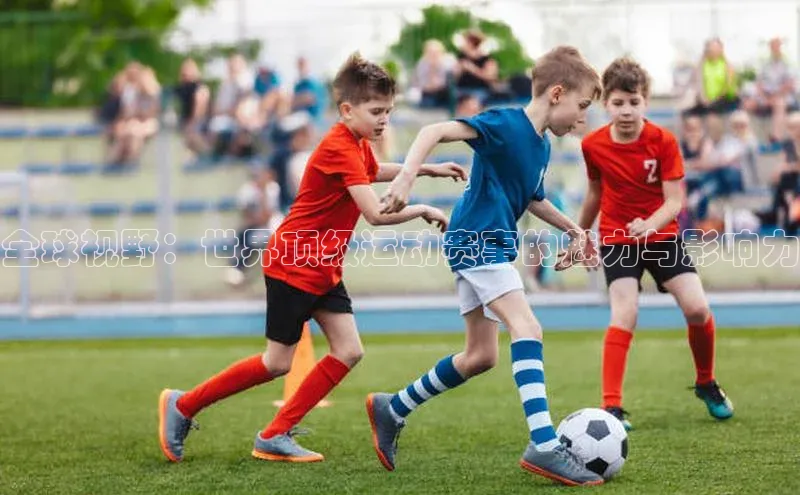 MK体育平台网页版入口