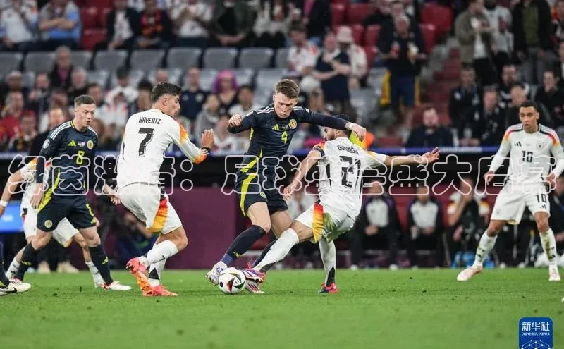 绿茵激情：足球盛会盛大启幕