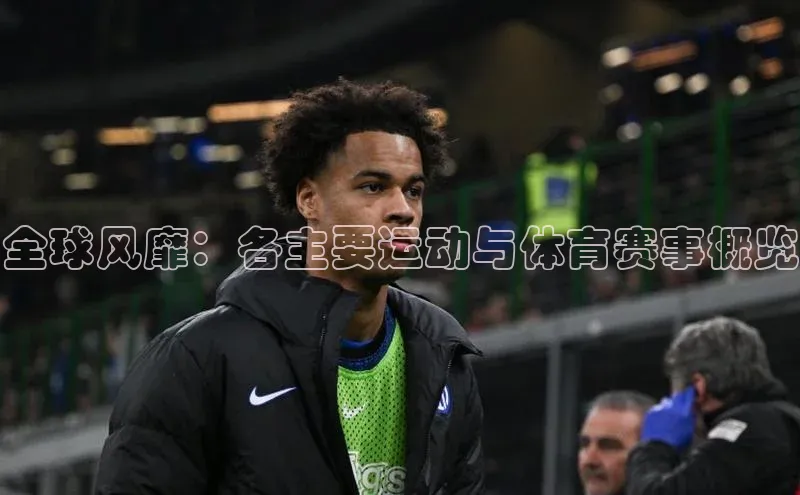 全球风靡：各主要运动与体育赛事概览