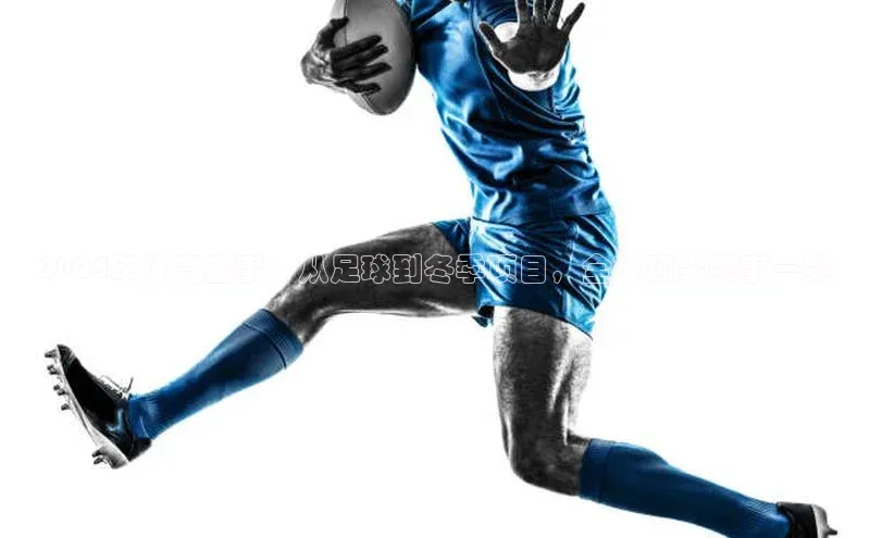 2024年体育盛事：从足球到冬季项目，全球顶尖赛事一览